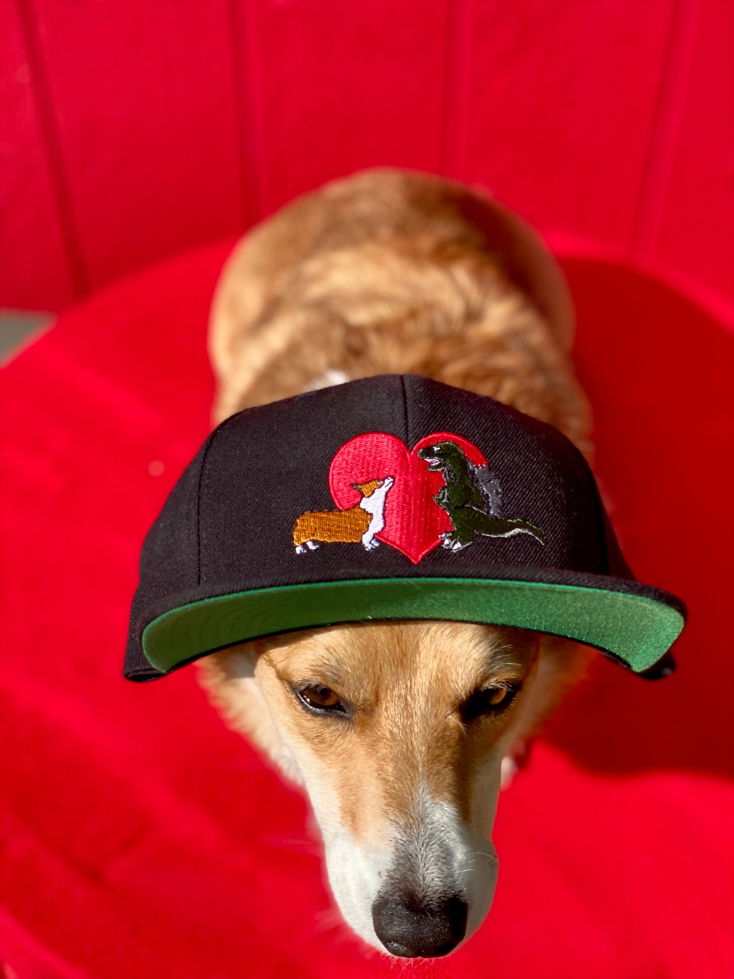 Kaiju Cut and Sew Kaiju Corgi Love Black Snapback Cap | Made in Austin, TX