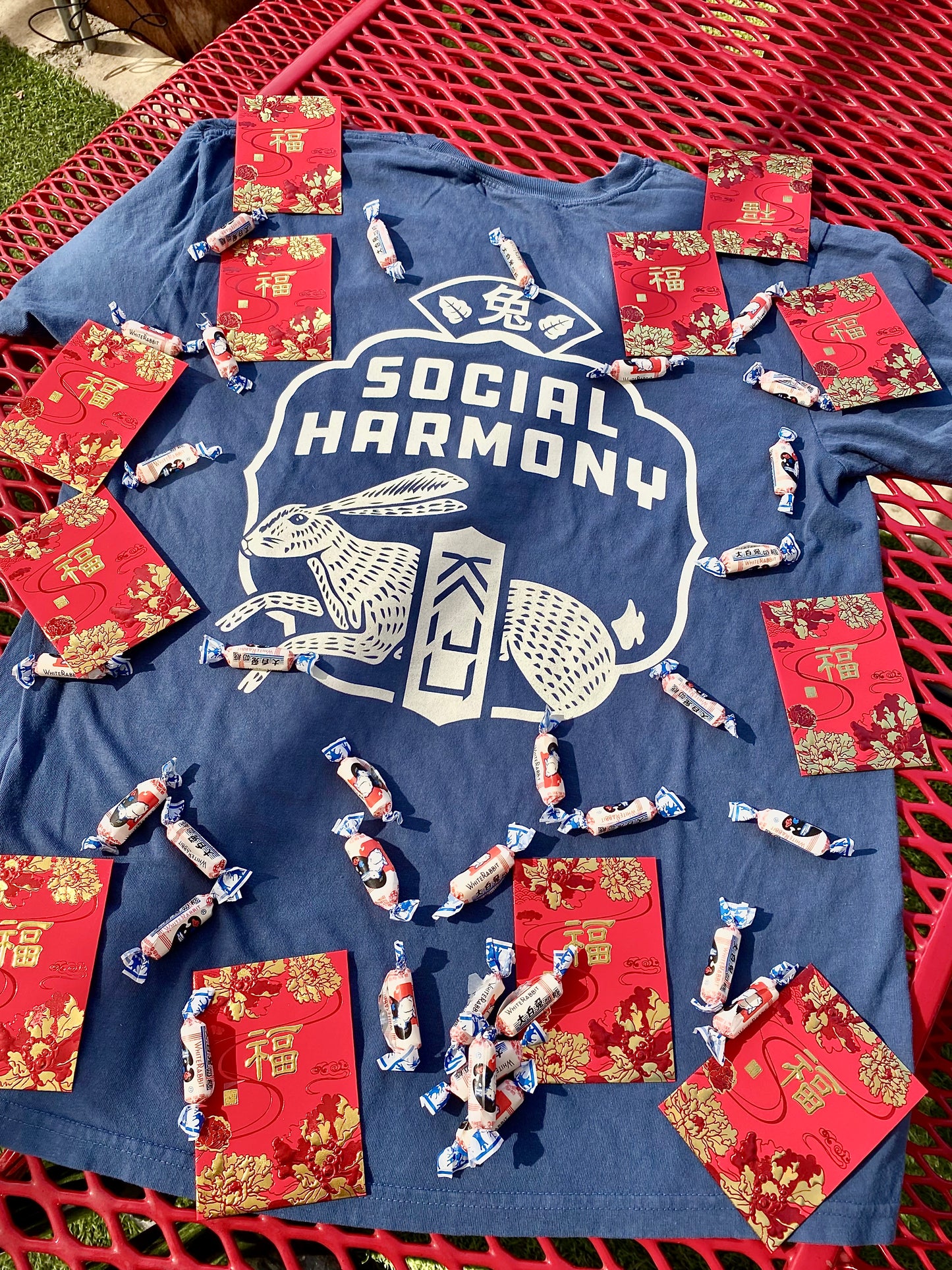 Kaiju Cut and Sew | Screen Printed | Unisex | Comfort Colors Navy | “Social Harmony ” T-Shirt