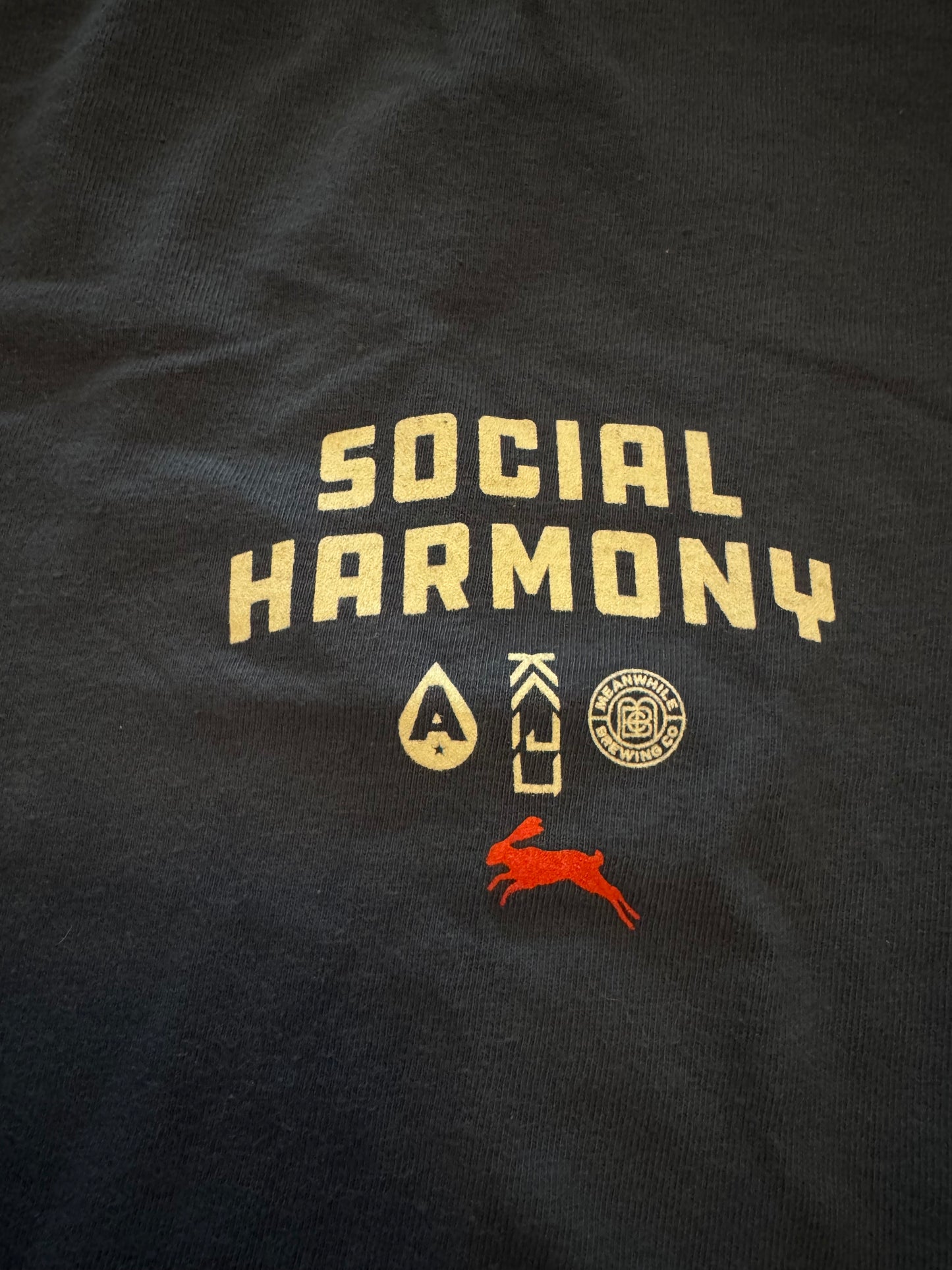 Kaiju Cut and Sew | Screen Printed | Unisex | Comfort Colors Navy | “Social Harmony ” T-Shirt