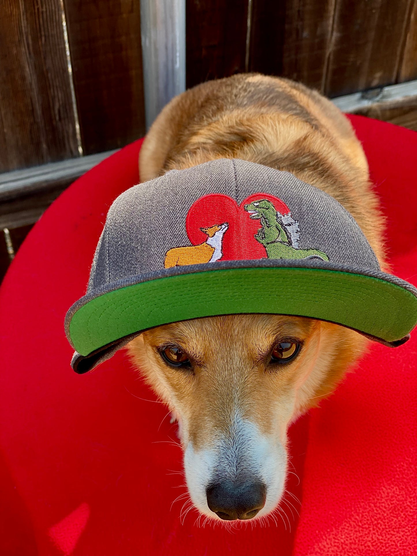 Kaiju Cut and Sew Kaiju Corgi Love Premium Heather Snapback Cap | Made in Austin, TX
